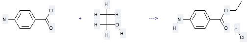 Benzoic acid, 4-amino-,ethyl ester, hydrochloride can be prepared by 4-amino-benzoic acid with ethanol.